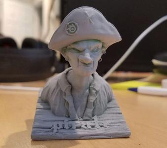 Pirate Bust