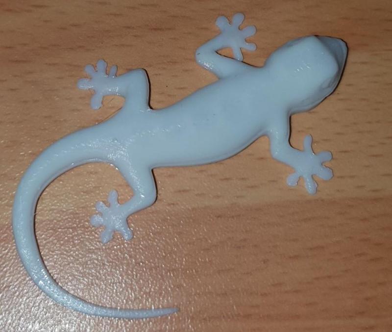 Gecko Fridge Magnet