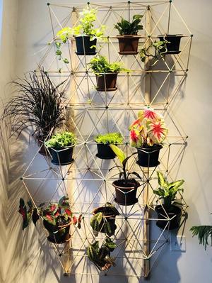 Green Wall Lattice
