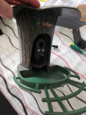 bird feeder lock lollyes