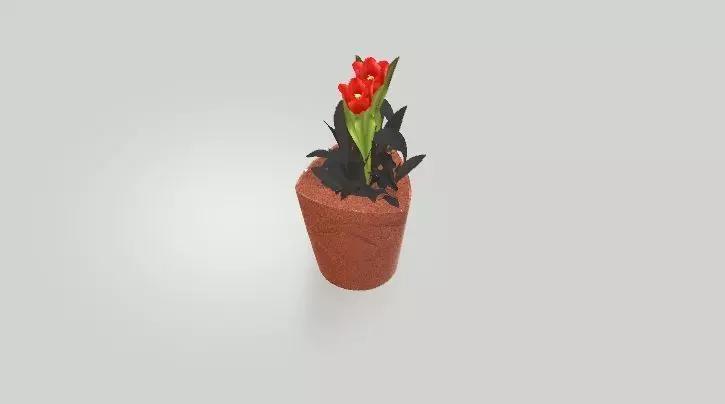 Flower Pot 3D Model