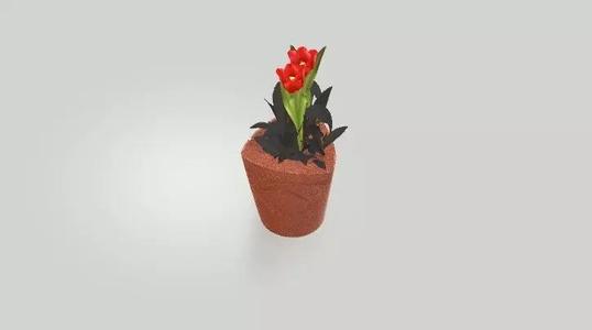 Flower Pot 3D Model