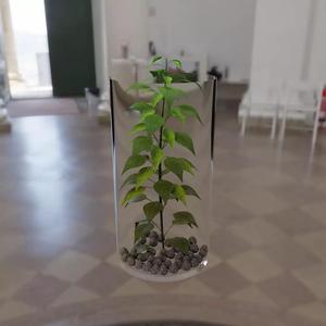 Modelagem De Vaso de Flor