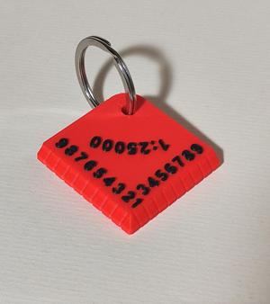 Scout orienteering map roamer (romer) keychain