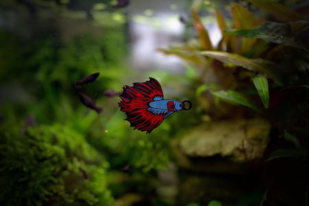 Betta splendens  keychain theme 5