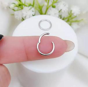 Pac 4 sizes Segment ear and nose ring Piercing Helix ear nose