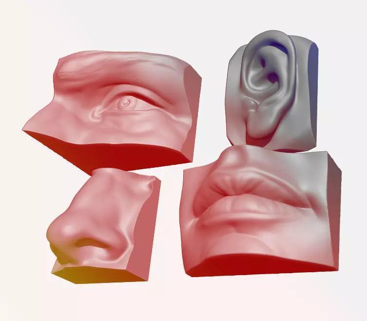 ANATOMY PACK - FACE PARTS
