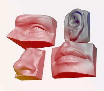 ANATOMY PACK - FACE PARTS