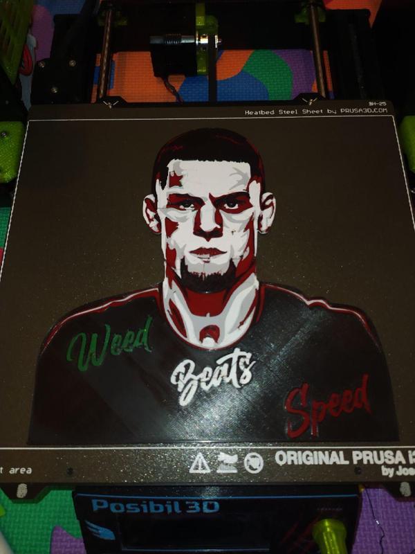 Nate Diaz Silhouette