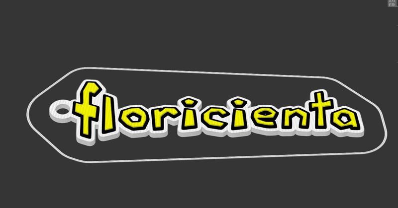 Floricienta key chains