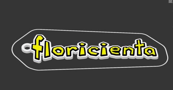 Floricienta key chains