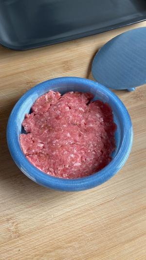 Hamburger Mold