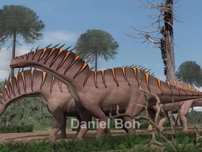 Amargasaurus cazaui. Dinosaur. Lower Cretaceous. Neuquén. Argentina