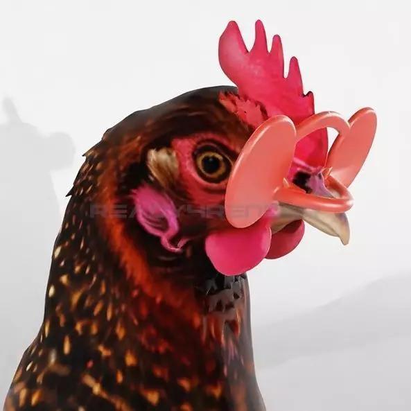 ANTI-EGG BREAKER HENS LENSES