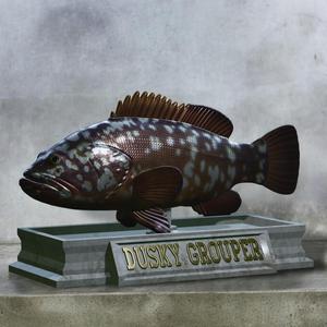 fish dusky grouper / Epinephelus marginatus statue detailed texture for 3d printing