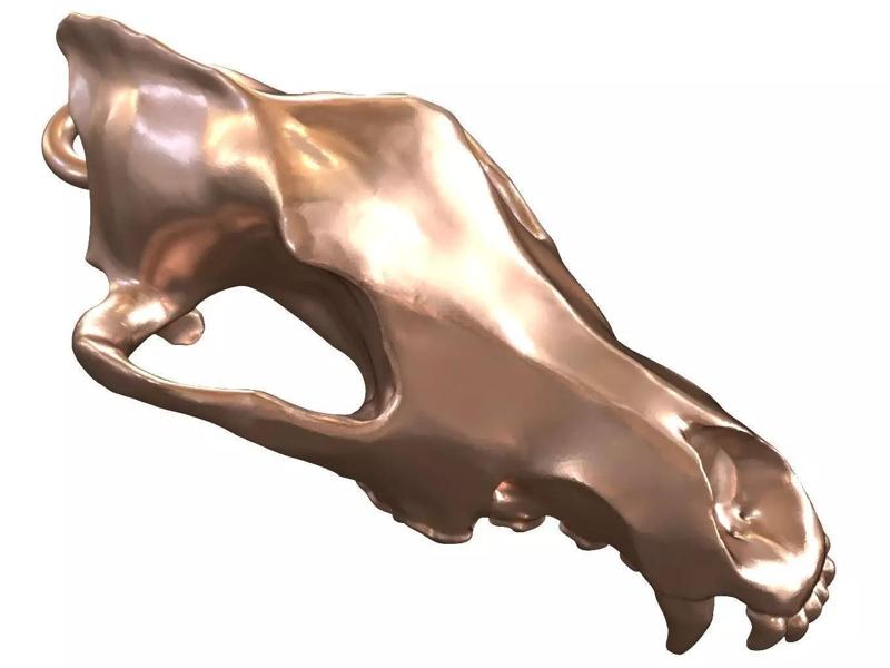 Cranium Charm Wolf Bronze