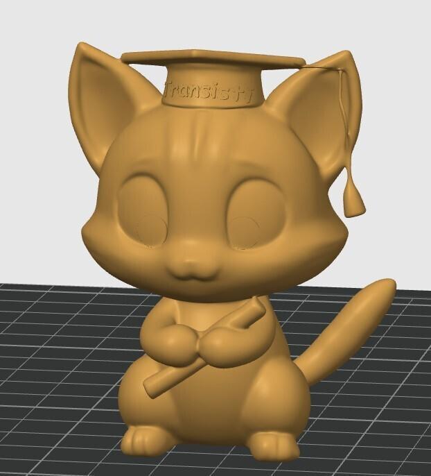 Cat statue for the doctor