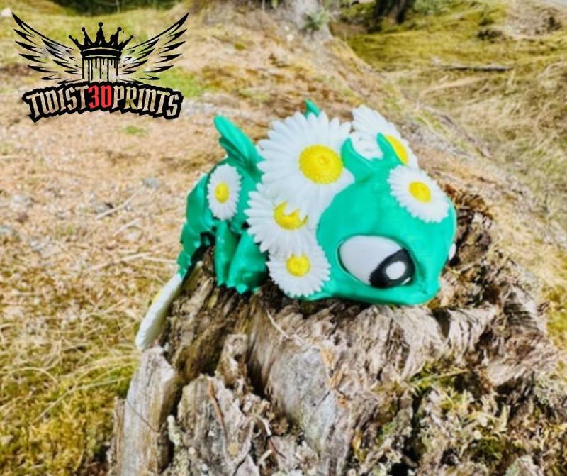 Daisy Baby Dragon Hatchable (collection)