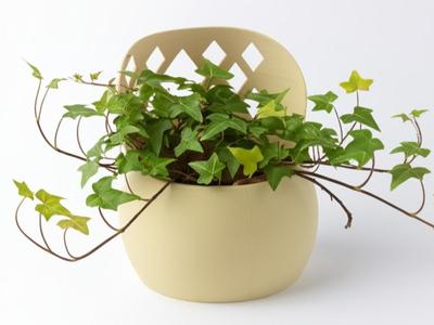 Plant Pot with Decorative and Functional Cover