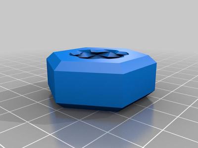 2 way bolt