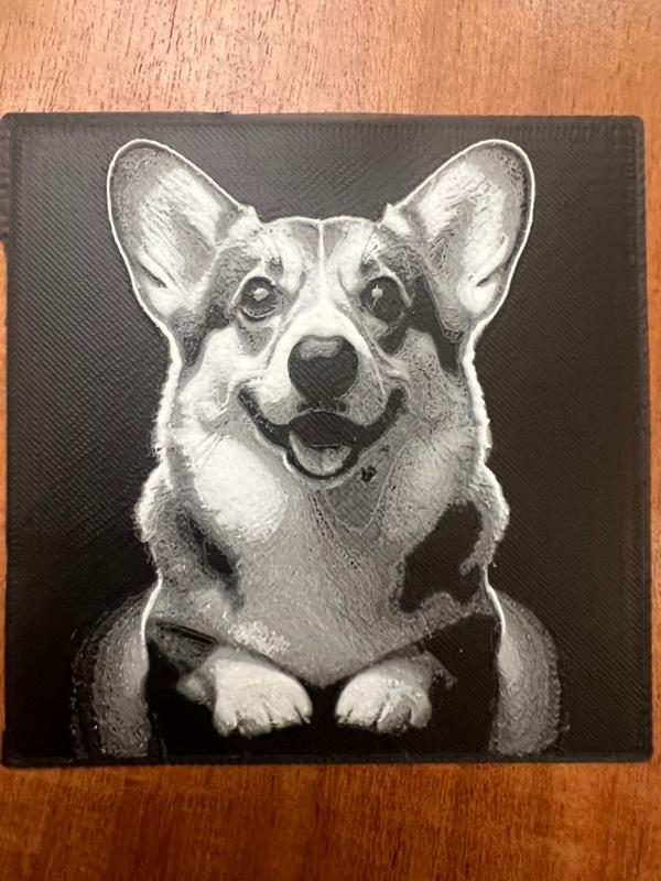 Corgi