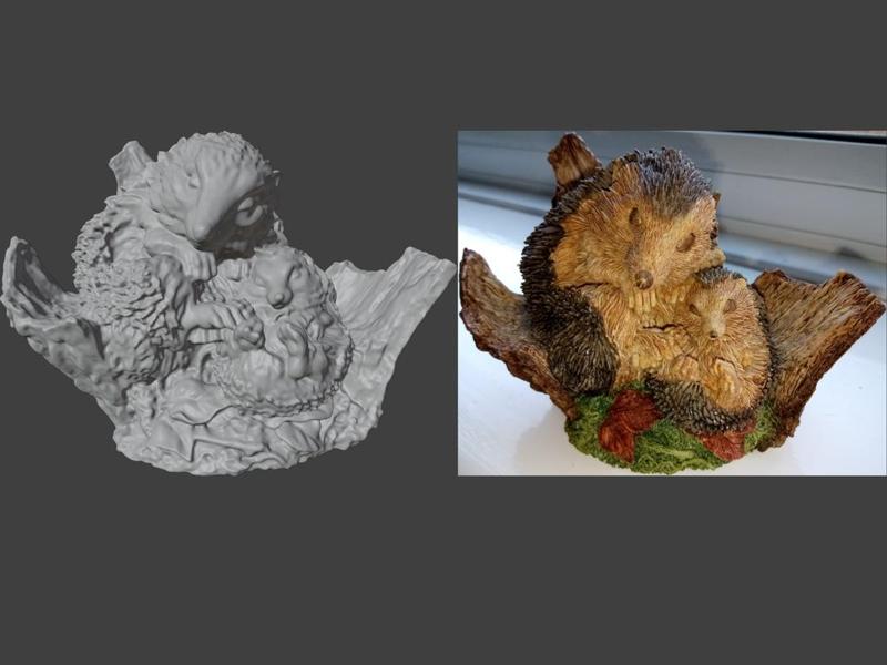 Hedgehogs Autumn Slumbers - Country Wildlife