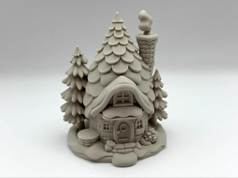 Winter Pinetree House