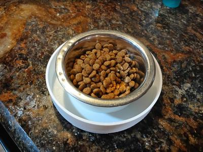 Anti-Ant Cat Food Bowl Holder