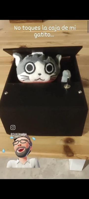 Caja Gato Rebelde