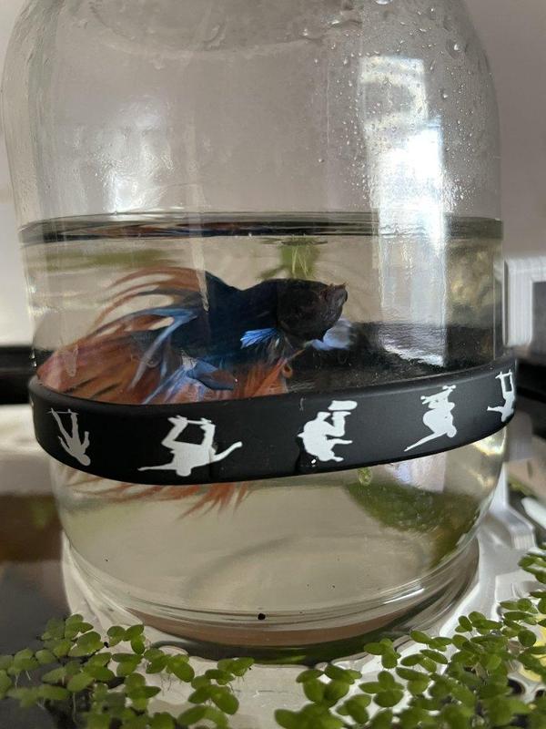 Inverted Jar Fish Tank Tower