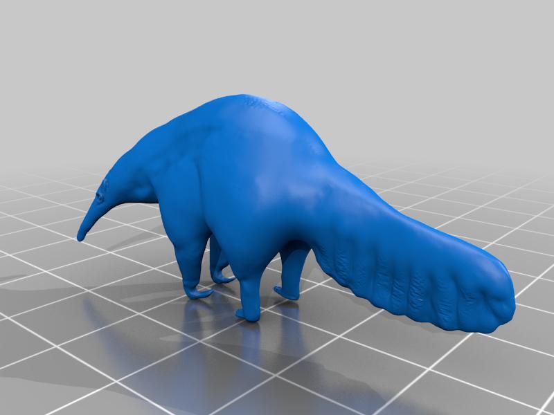 Giant Anteater