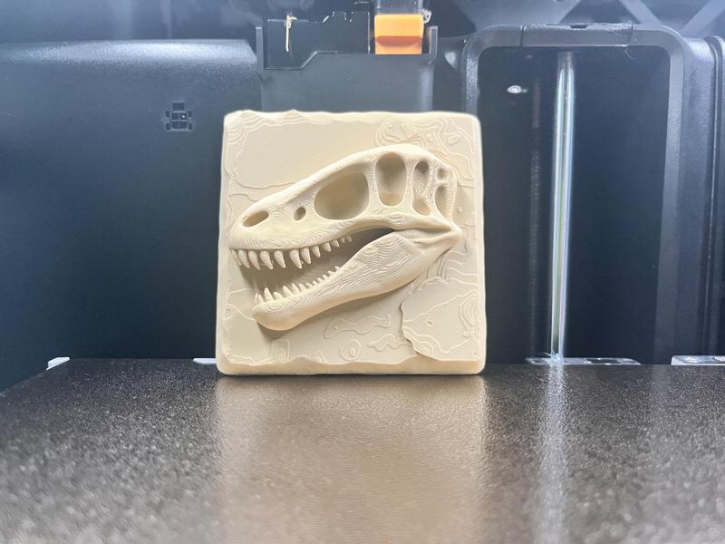 Velociraptor skull dino fosil