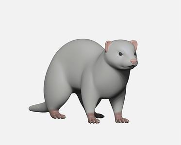 ferret