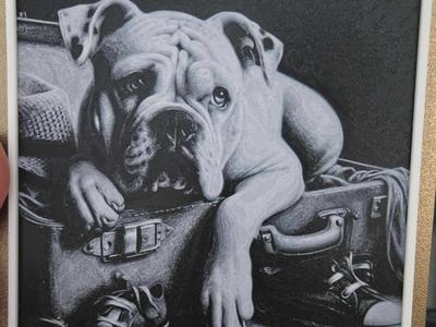 Bulldog