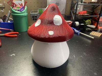 Mushroom Storage