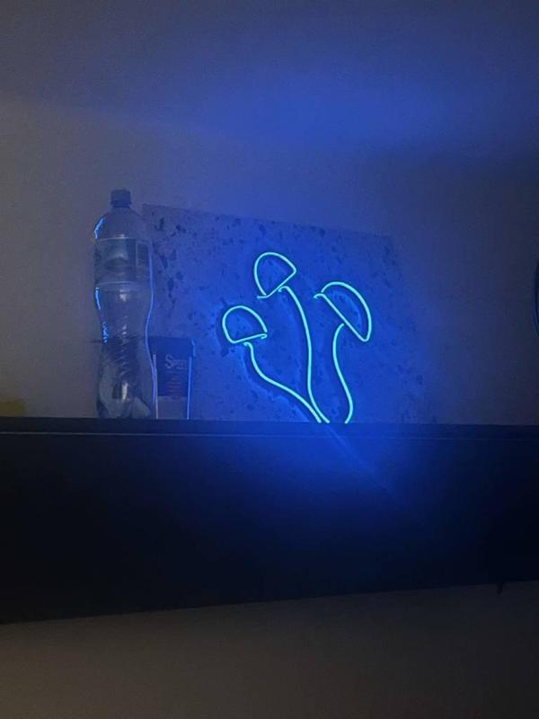 neon art- mushrooms