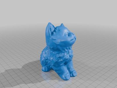 Kitten