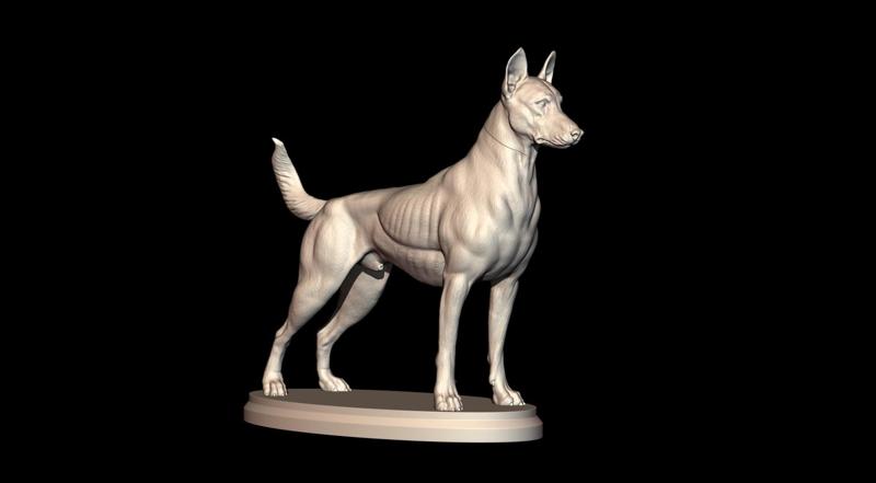 Belgian Shepherd Malinois