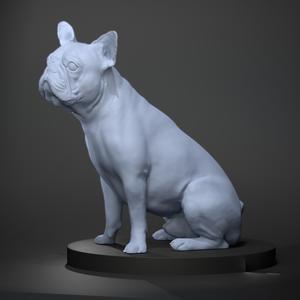 French Bulldog