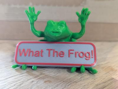 What the frog