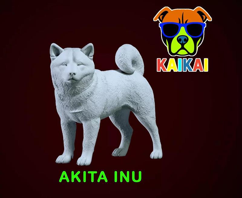 Akita dog - Japanese giant dog - 3D print