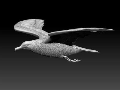 Seagull