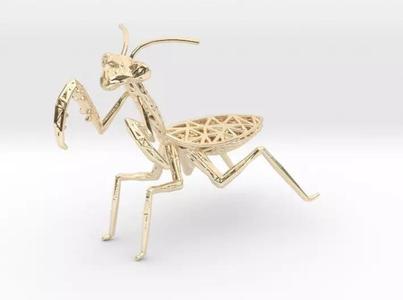 Praying Mantis