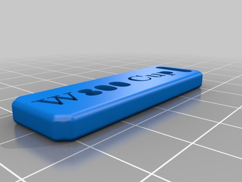 W800 KAWASAKI keychain