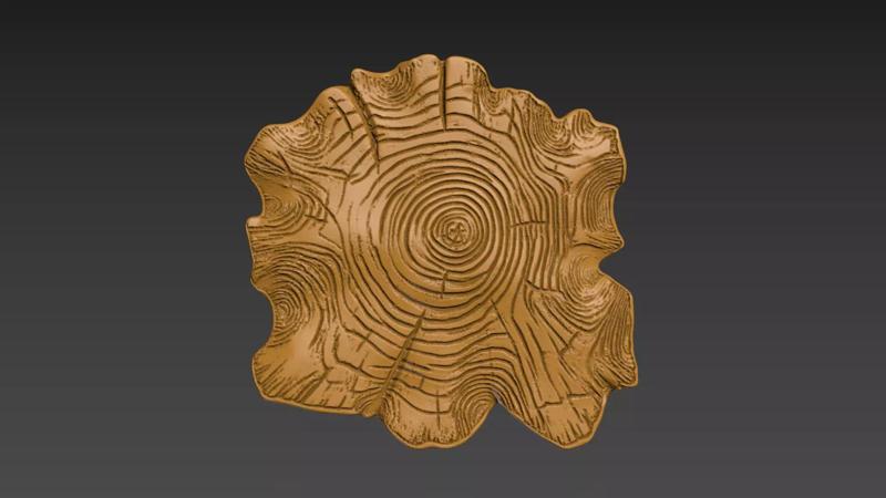 Stump Wood slice Relief