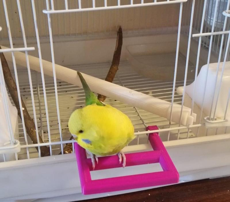 Bird Cage Front Door Perch