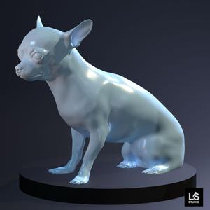 Chihuahua 3d Model