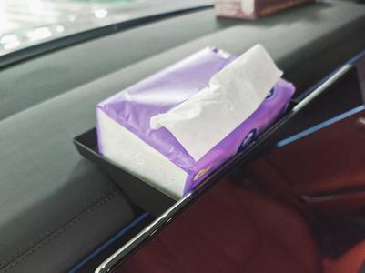 Tang L Tissue Box Center Console Screen Organizer