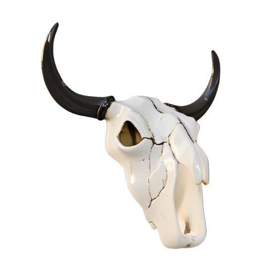 Cracked Bull Skull