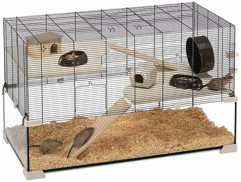 Rodent cage room
